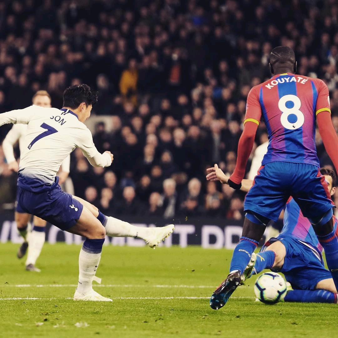 小布兰登的 小布兰登的