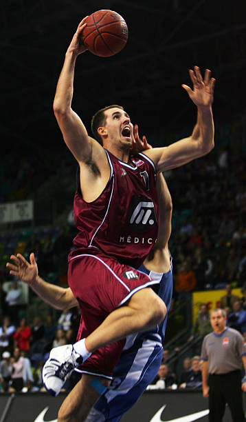 正是借鉴了 正是借鉴了